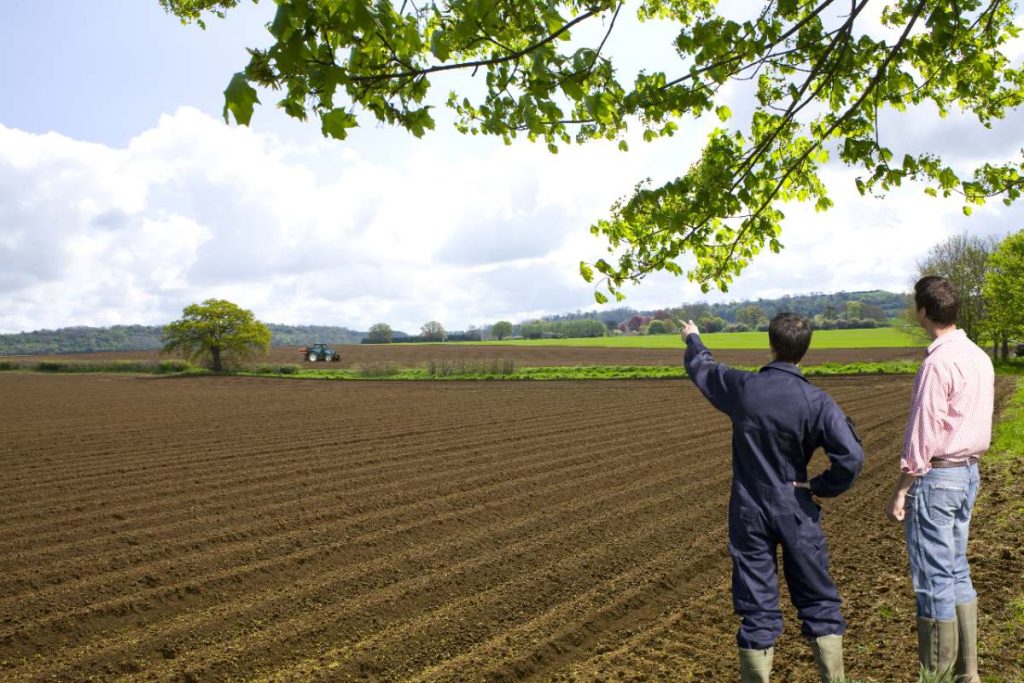 Des agriculteurs discutant sur un champ agricole
