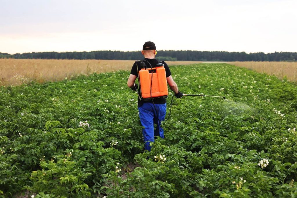Un homme qui pulvérise un champ agricole