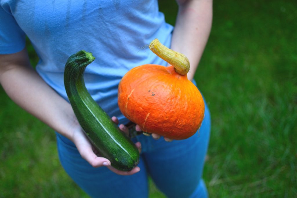 Mains tenant une courge mûr et une courgette verte