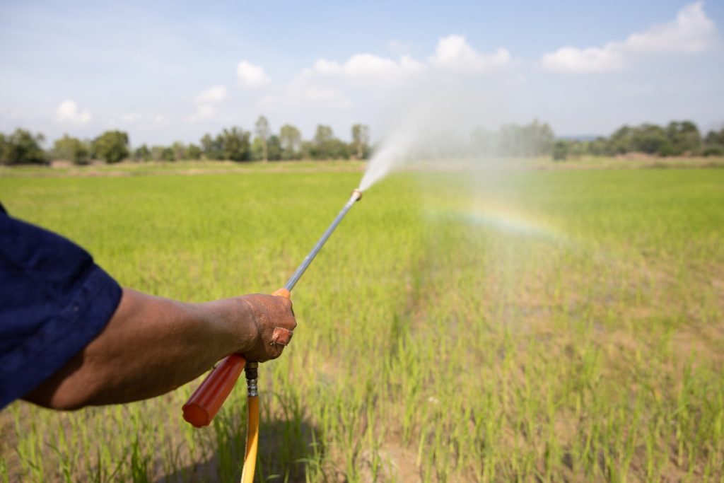 Une personne pulvérisant un terrain agricole