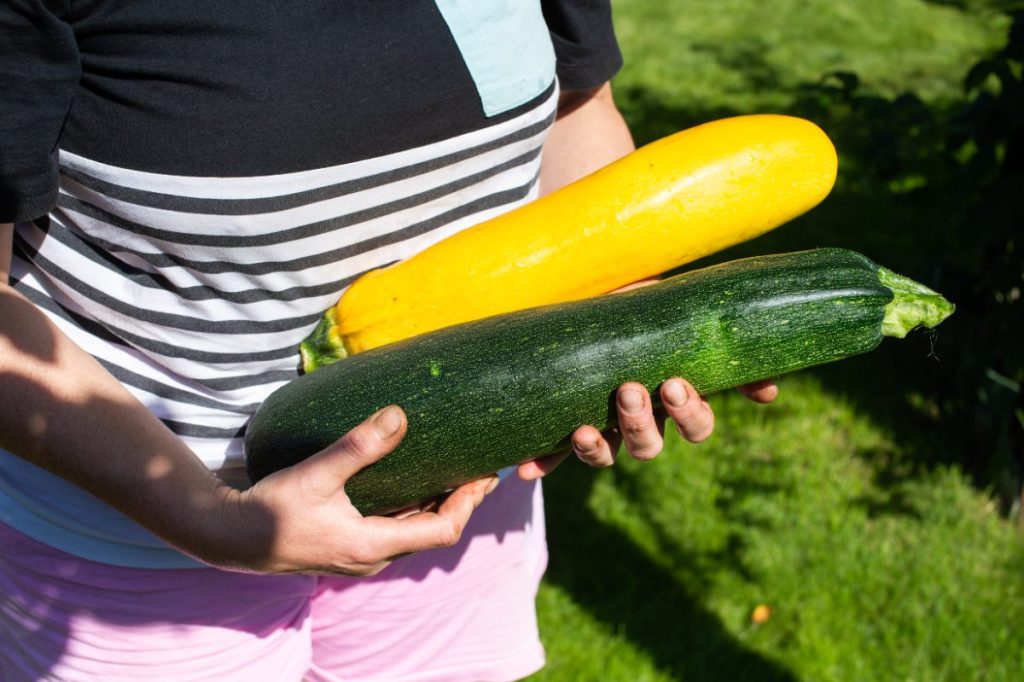 Une personne tenant des courgettes