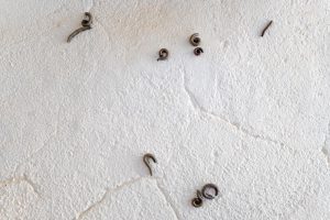D&rsquo;où viennent ces petits vers qui apparaissent sur votre plafond ?